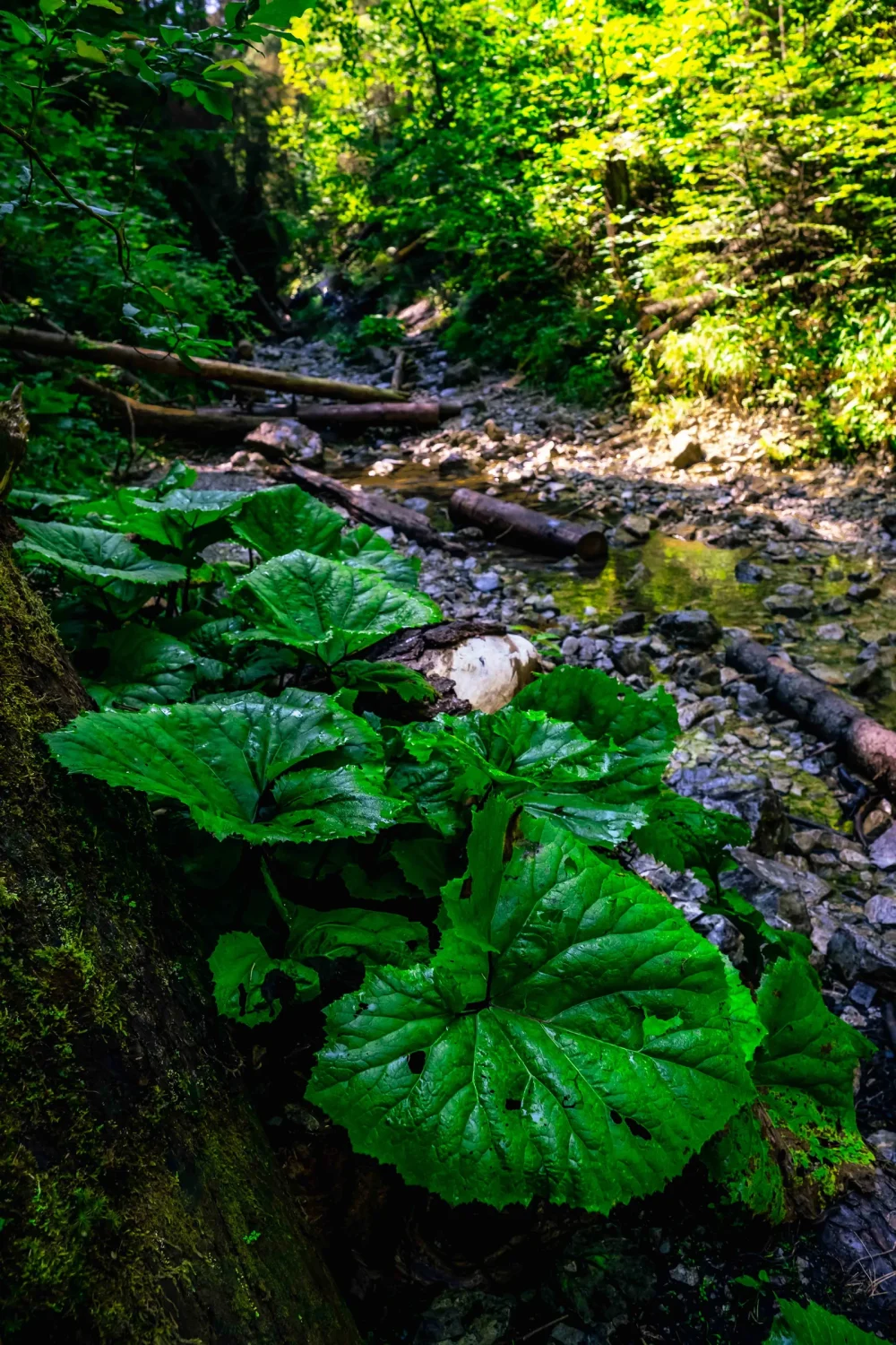 Krajinárska fotografia zo západného Slovenska – autorský záber na plátno