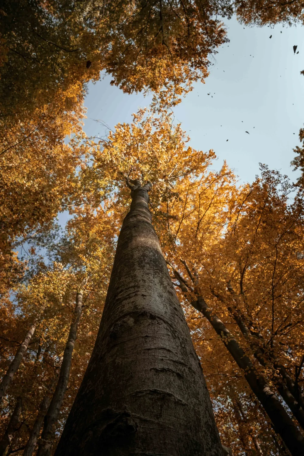 Krajinárska fotografia zo západného Slovenska – autorský záber na plátno