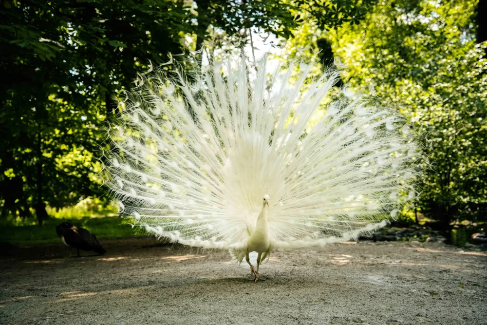 Krajinárska fotografia zo západného Slovenska – autorský záber na plátno